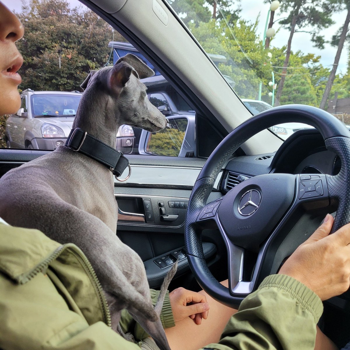 우리파이 tweet media