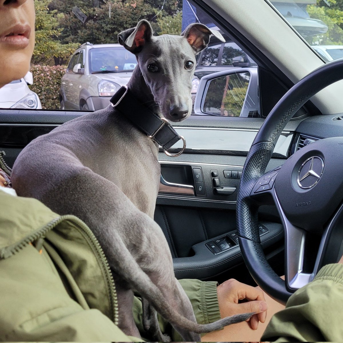 우리파이 tweet media