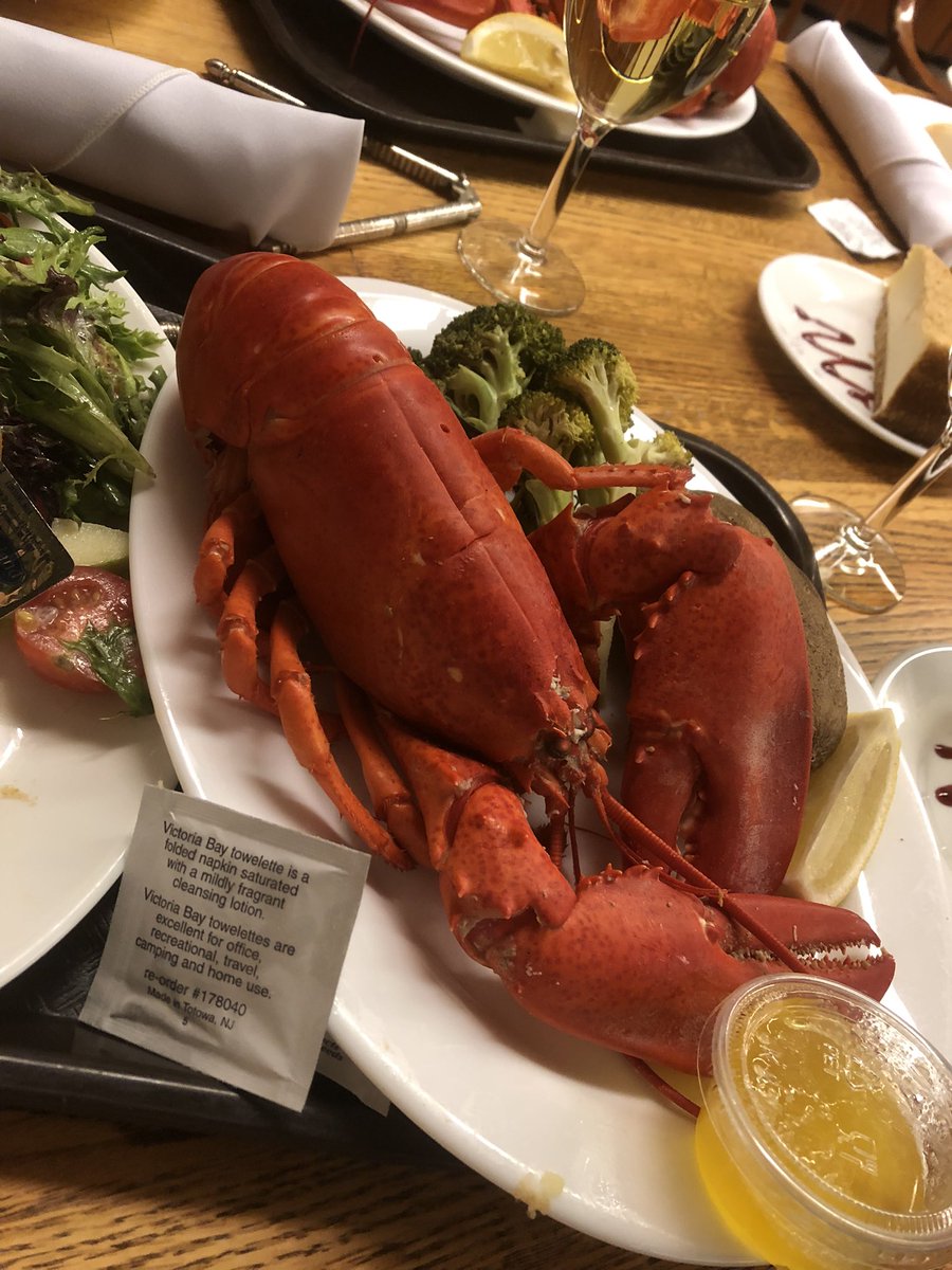 Had a great time at #cshlepich22 this week! Full of so many interesting talks and posters and met so many lovely people (with a bonus lobster dinner 🦞)!