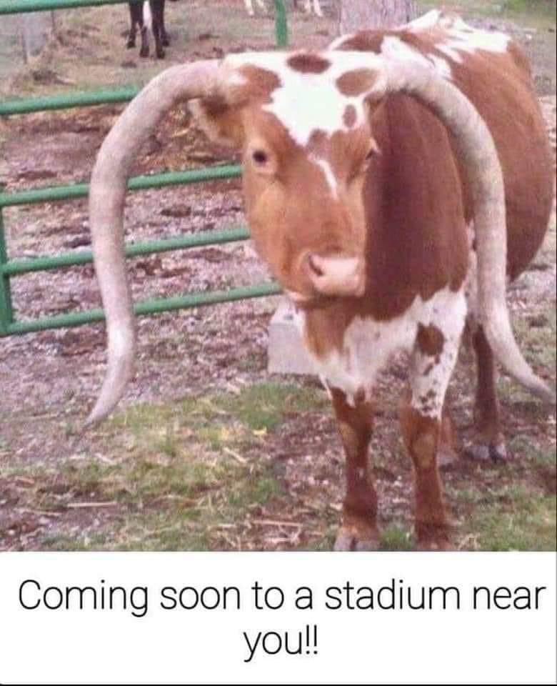 22smithC's tweet photo. #WreckEm https://t.co/PTJOFbBtlm