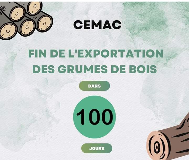 SEGEF Cameroun tweet media