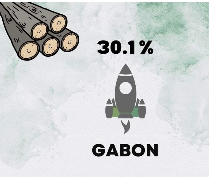 SEGEF Cameroun tweet media