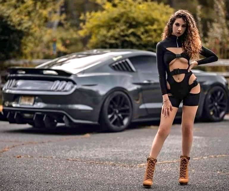 #SexyStang