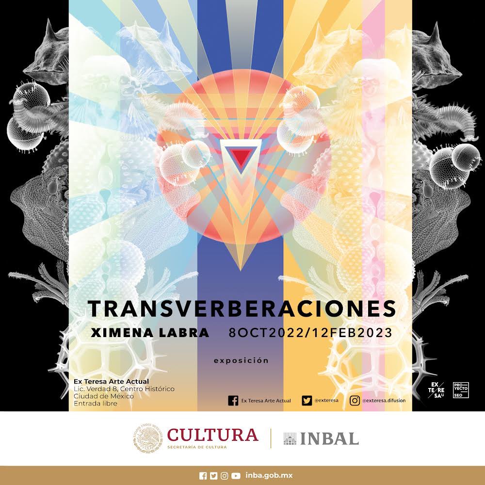exteresa's tweet photo. Nos llena de emoción anunciar nuestra próxima exposición en Ex Teresa Arte Actual titulada “Transverberaciones” de la artista mexicana Ximena Labra.
8 DE OCTUBRE, 12:00 H APERTURA
¡Te esperamos!
@bellasartesinba @reddemuseosinbal
#transverberaciones #ximenalabra #extaa https://t.co/3S2aWHyfEz