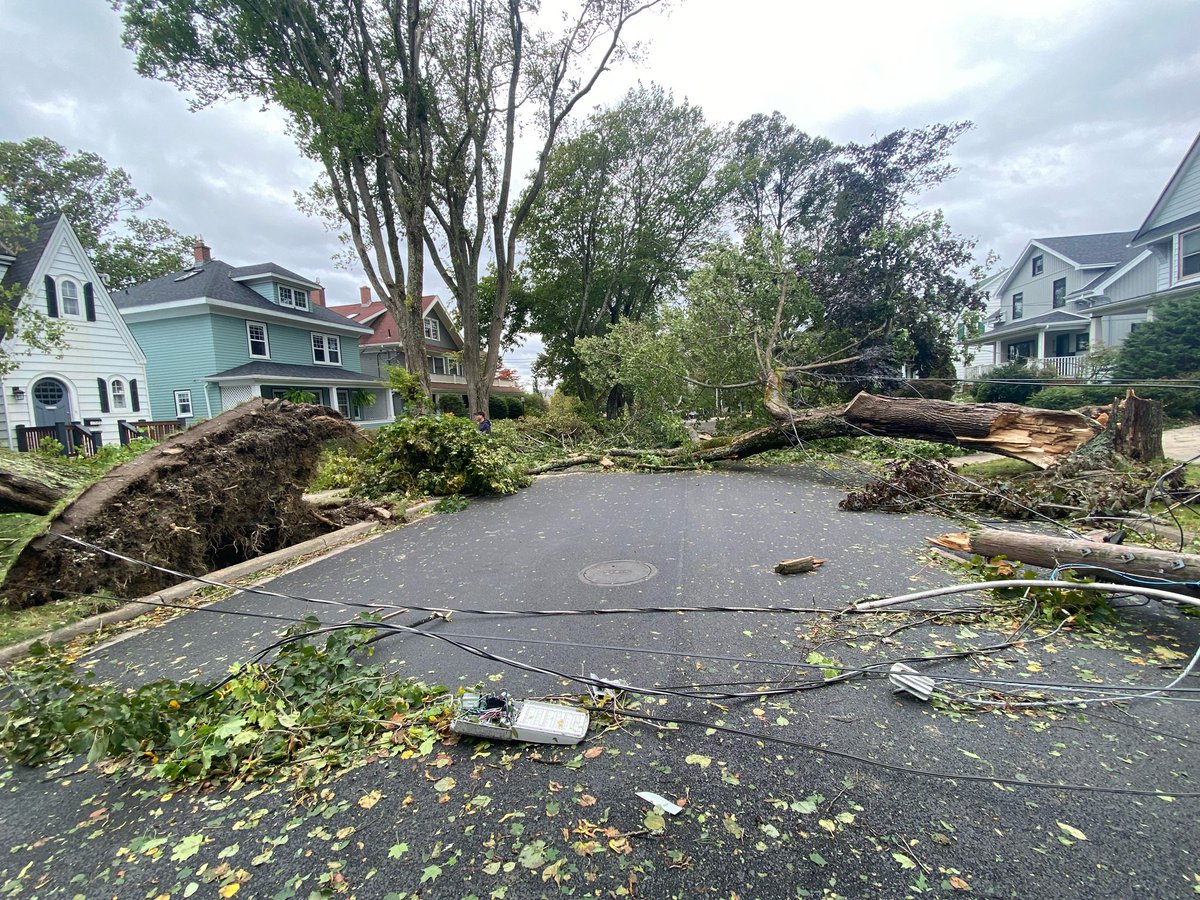 #HurricaneFiona did not mess around! Lots of damage here in Halifax - appreciative of frontline workers &amp; all the messages from family and friends. ❤️