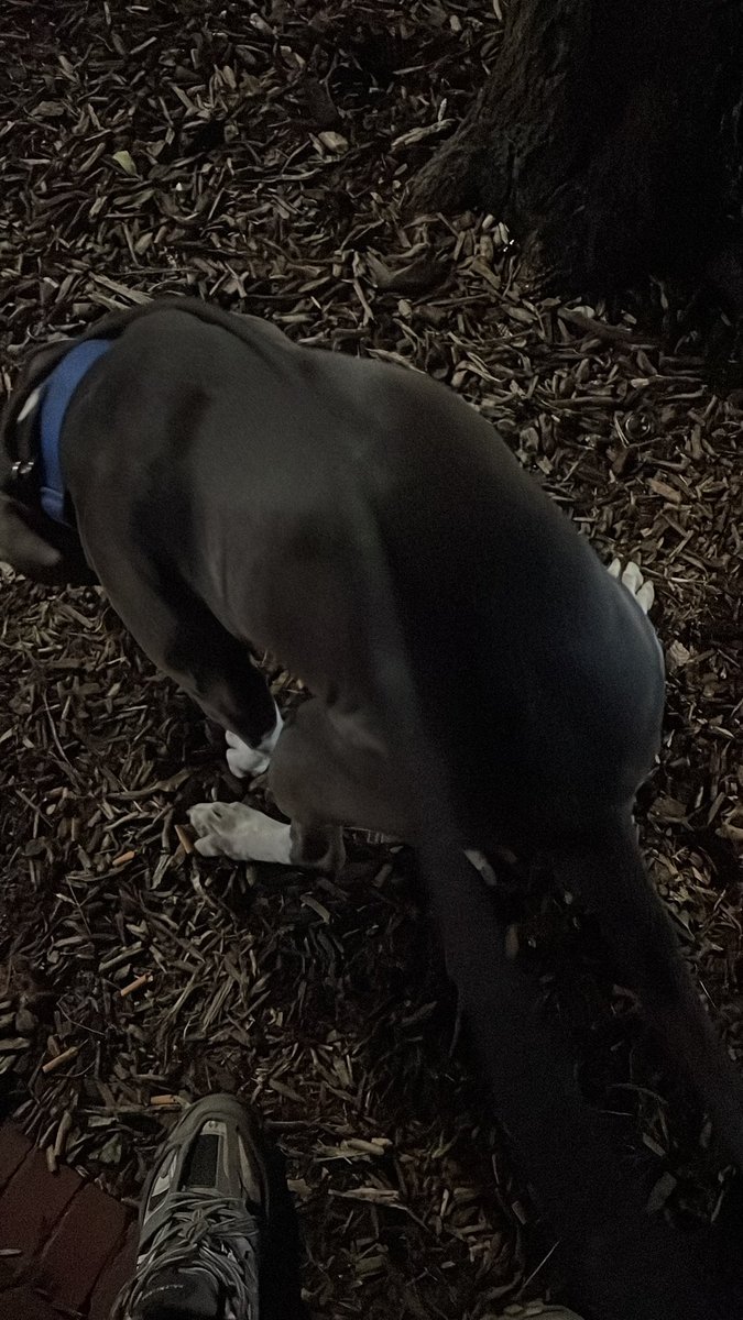 Nvm don’t smoke crack