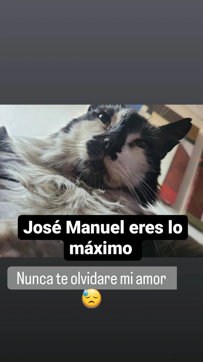 MarcoQuezada438 tweet media