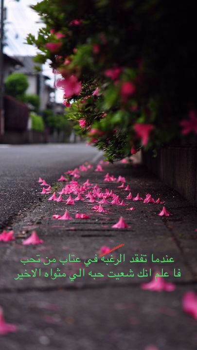 عندما تفقد الرغبه في عتاب من تحب
فا علم انك شعيت حبه الي مثواه الاخير. 

 #الخبر