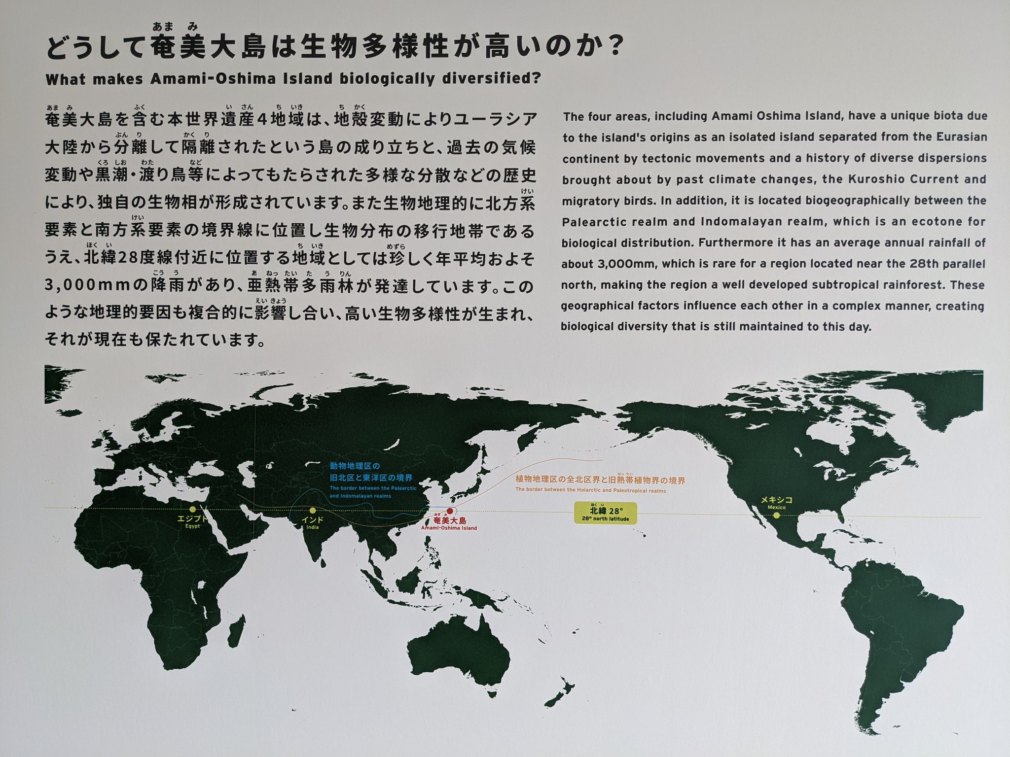 公式 奄美大島世界遺産センター Amamioshimawhcc Twitter