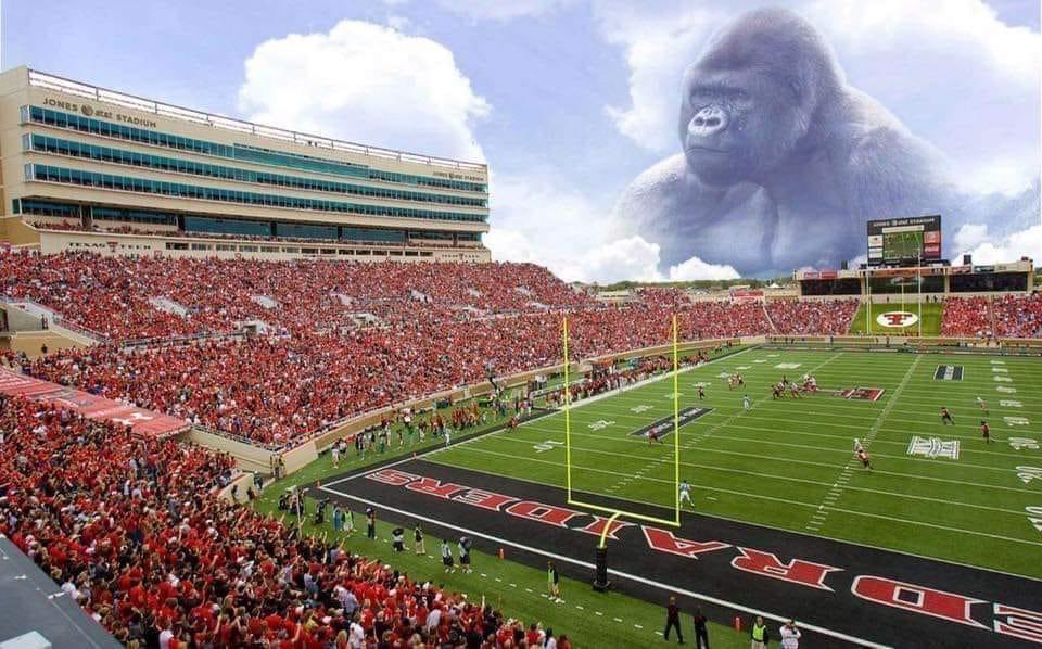 taylexxxi's tweet photo. #wreckem #forharambe https://t.co/5kcJbcBVMS