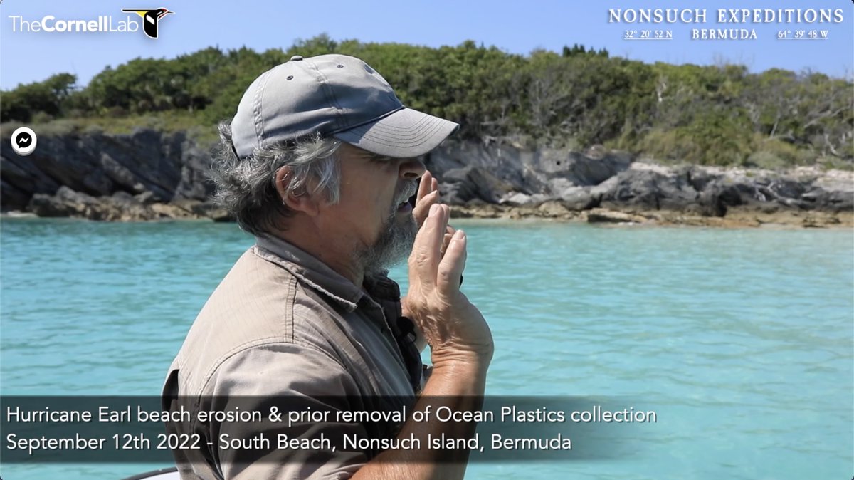 Nonsuch Expeditions tweet media
