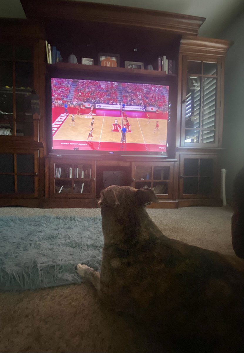 🏐 We dig watching #Husker volleyball in AZ. 🏐 GO BIG RED! @Huskervball #Big10