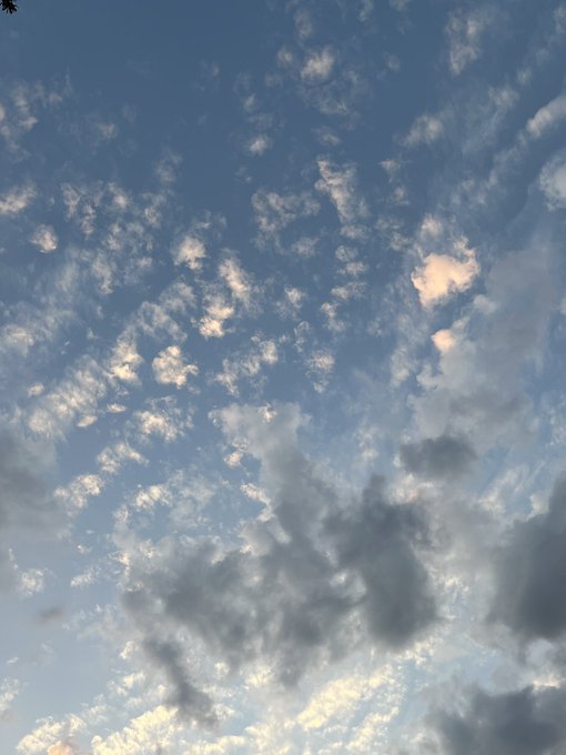 go vols https://t.co/L1QDgW5Rts<a href="/tag/mon"class="tags"><span>#mon</span></a>