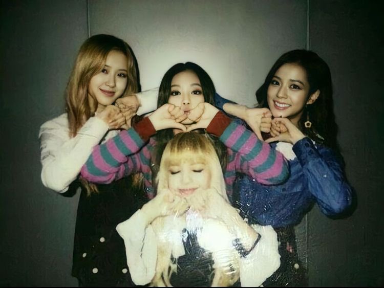 pinksninicore's tweet photo. BLACKPINK COMES TO DOMINICAN REPUBLIC @ygofficialblink @ygentusa @ygent_official @BLACKPINK #DRWantsBP @sdconcerts https://t.co/5hRIIZesgi