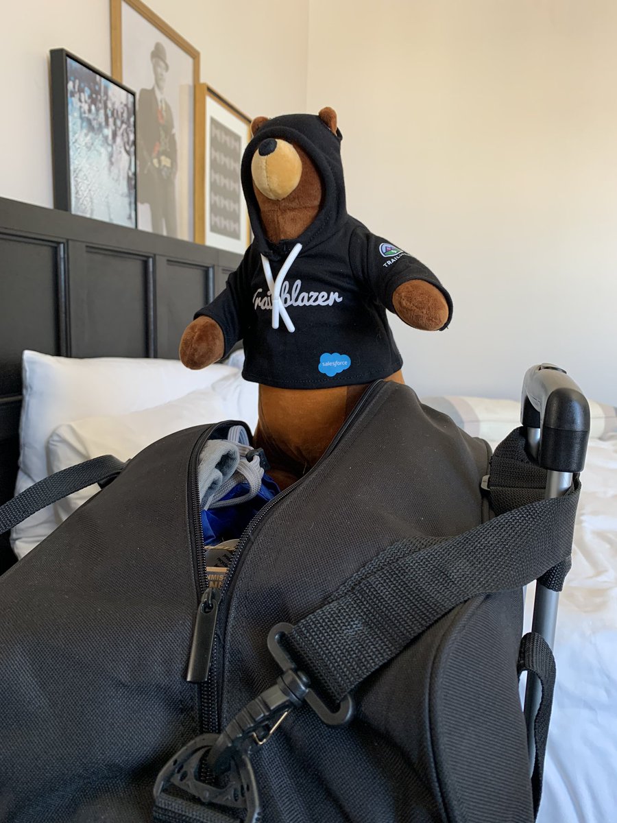 _sbrownz's tweet photo. …
* #trailhead challenge completed so it’s me #codey and #slackstro heading back on @FlyAirNZ tonight!
Nga mihi nui @Dreamforce https://t.co/RFtsKOWbPQ