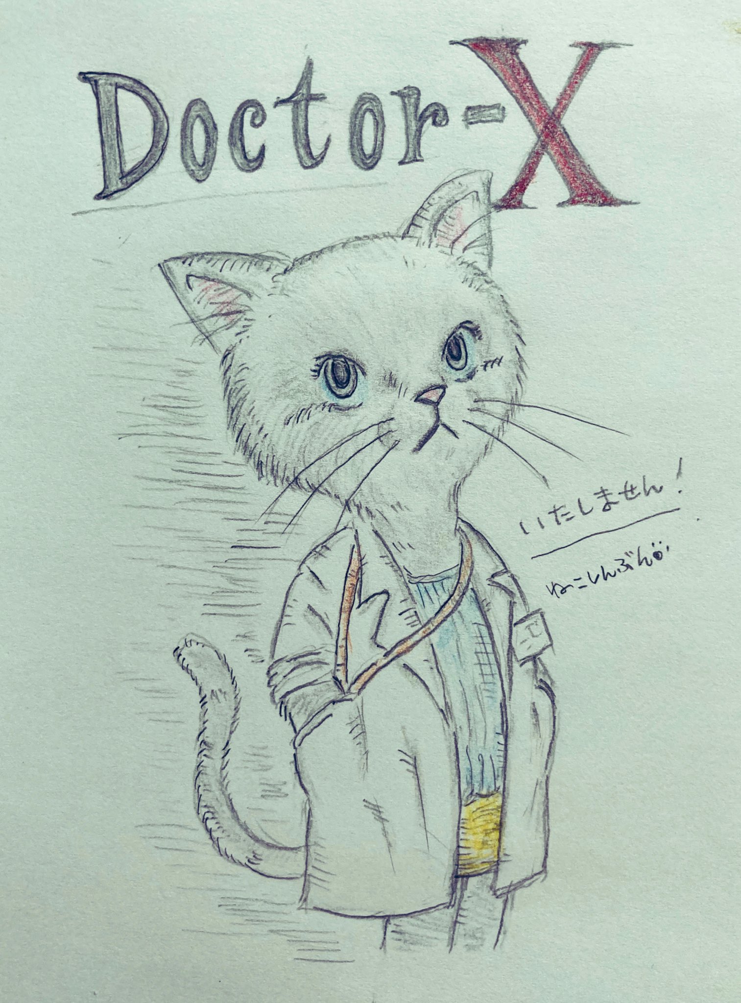 ねこしんぶん Nekoshinbun009 Twitter