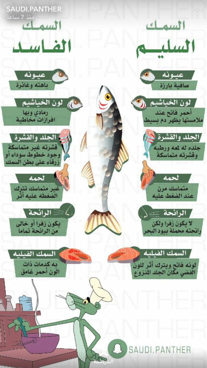 رحيق نيوز (@rt63055434) on Twitter photo 