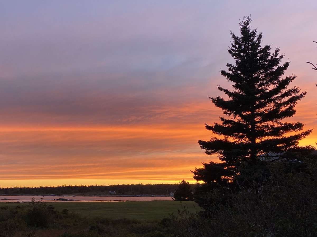 Marianne Clark tweet media