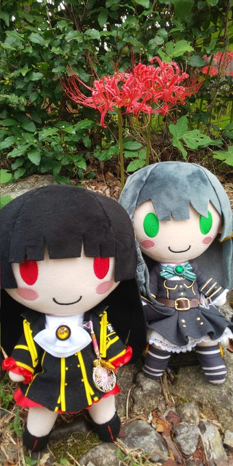 リコリコ最終回ってことで彼岸花祭してきた
#ぬいハチ #ぬいすず 