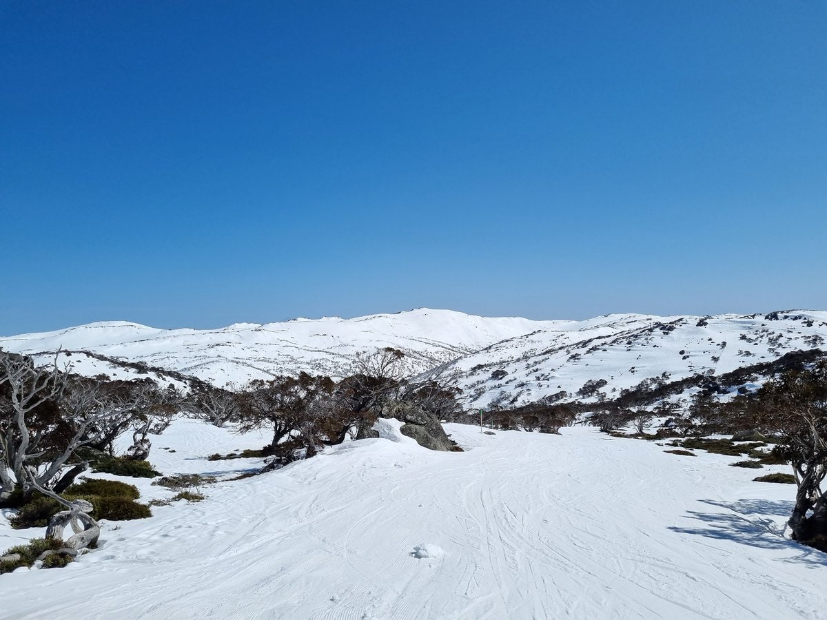 This term was full on. It was a crawl to the finish line. Knowing I'd have these views at the weekend helped.