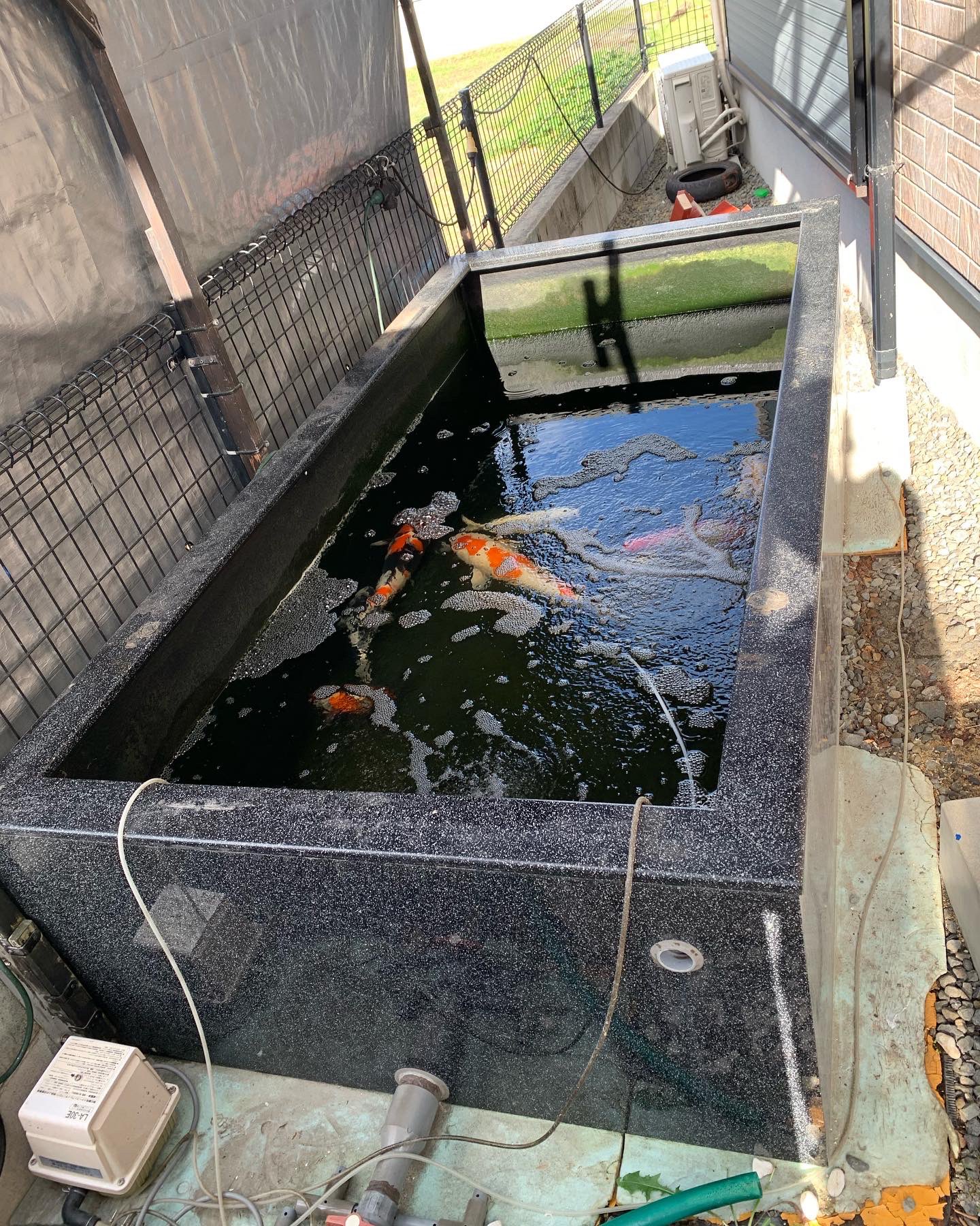 Fibertank Twitter Search Twitter