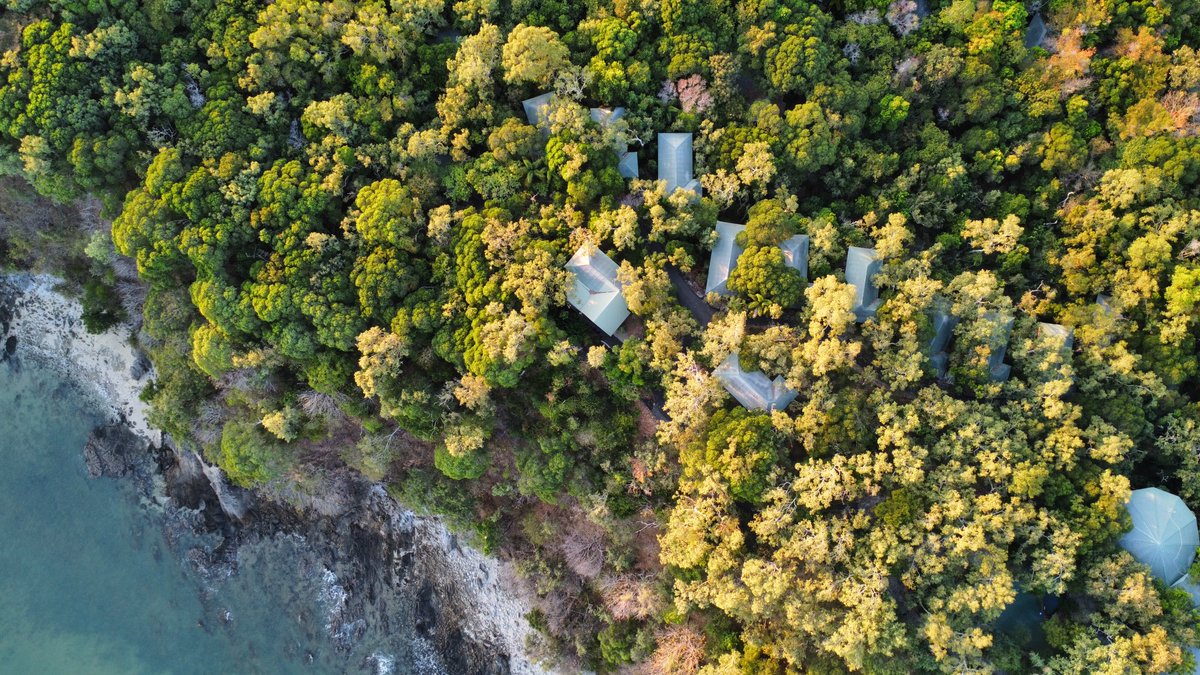 Birds eye view of some of the private bungalows here at #thalabeach you can also spot #ospreysrestaurant at the bottom right of the photograph
💚🌿🌞
 #exploreTNQ #portdouglasdaintree #portdouglas #thisisqueensland #thalabeach #seeaustralia #ecotourism #visitportdouglas