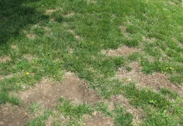 *results after hours of fieldwork*

the infield          vs.         the outfield