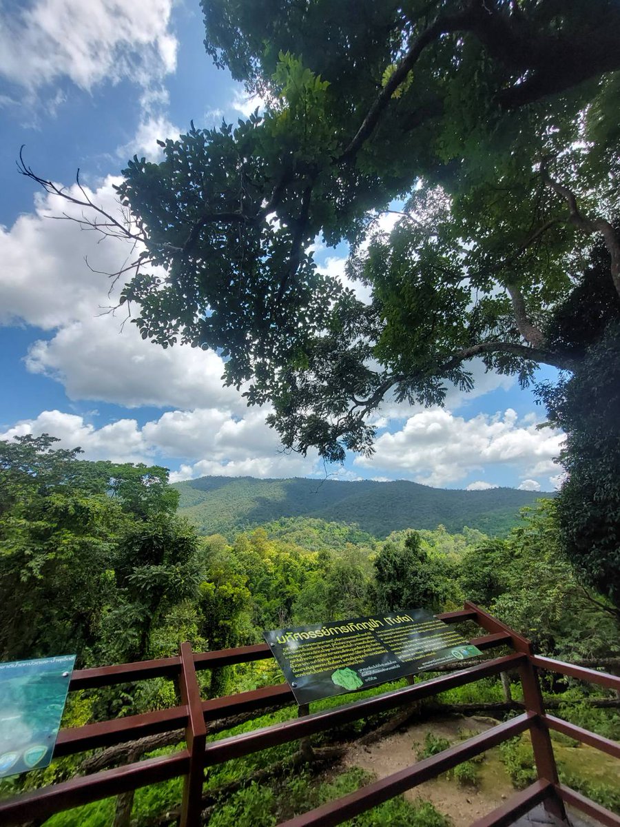RandomAsia's tweet photo. Awesome waterfall that can easely be reached from the city of Chiang Mai ✨🌼💕🌄📷🏕⛺️🏞 3 days 2 nights only 1,667 Baht

More details: https://t.co/jqIcXr0r45

#randomtravelasia #thailand #relax #blessing #doisuthep #chiangmai #CNX #North #waterfall #Buatongwaterfall #chill https://t.co/xj36HGXcGv