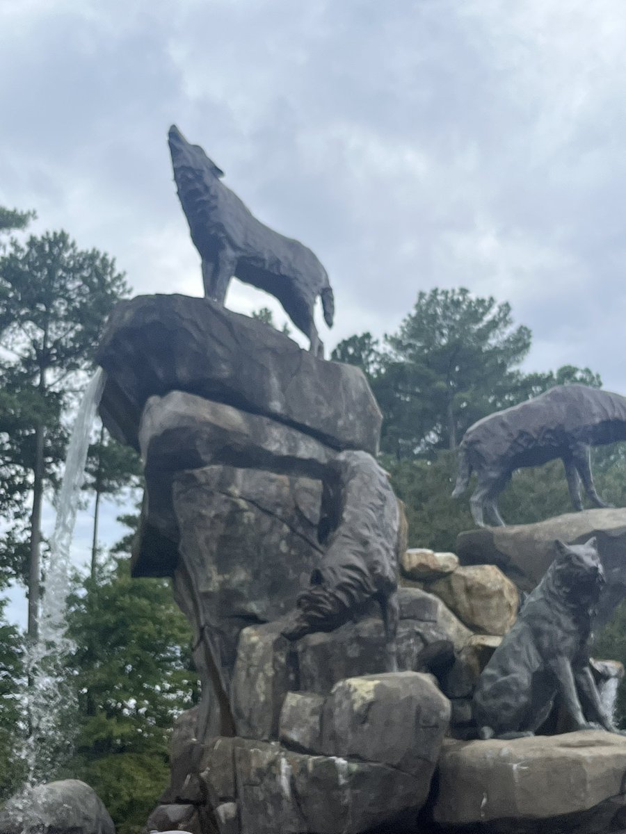 Coach David Sammons tweet media