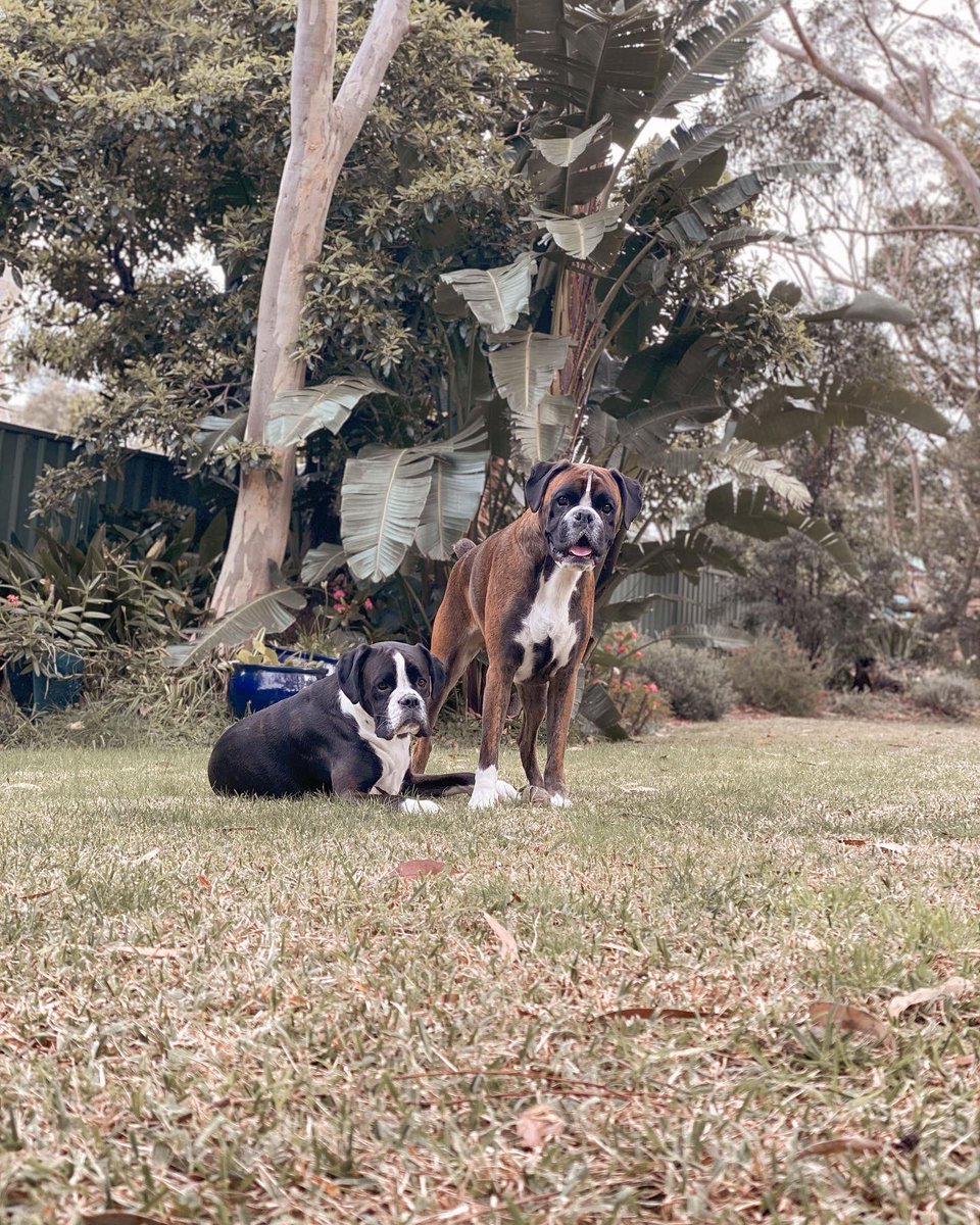 Emily Corner tweet media