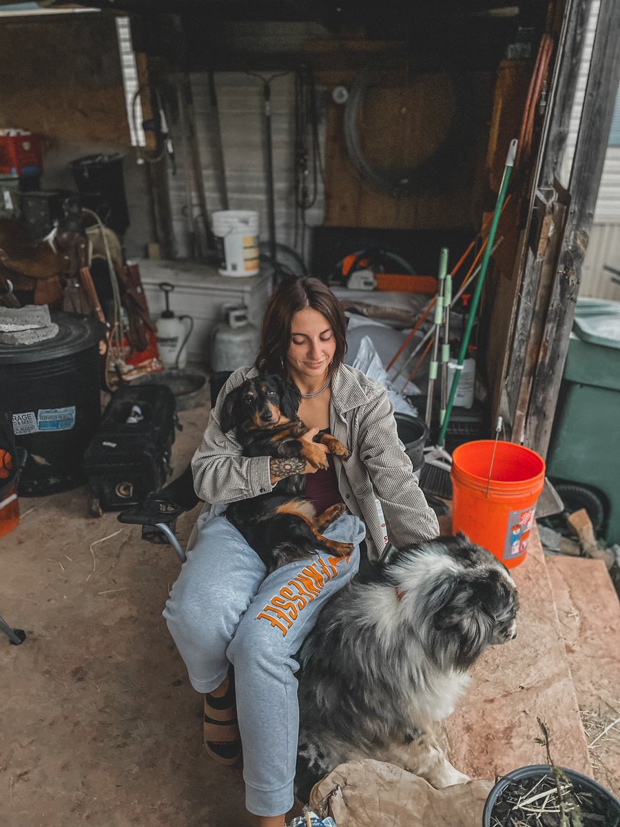 ann_rathbunn's tweet image. Go Vols 🍊