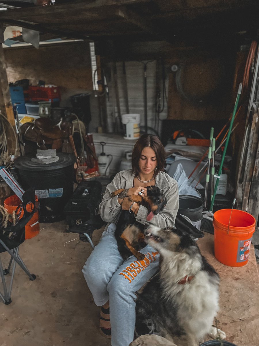 ann_rathbunn's tweet image. Go Vols 🍊