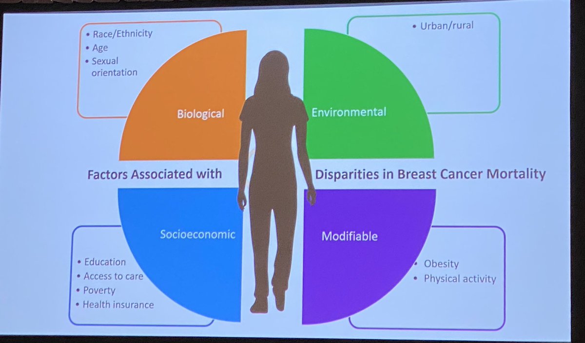 debsetu's tweet photo. Patient advocates with @KomenAdvocacy participating and learning during the @LurieCancer #LSBC22 Lynn Sage symposium. 3 1/2 days of the latest in imaging, treatments, surgical options, disparities in treatment and new advances. #bcsm #advocacy https://t.co/NhmZQKTIyq
