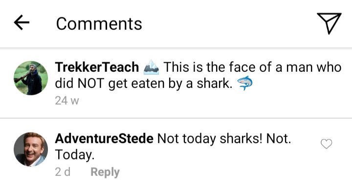 Comments on Ed's Instagram. Ed: 'This is the face of a man who did NOT get eaten by a shark' Stede: Not today sharks! Not today