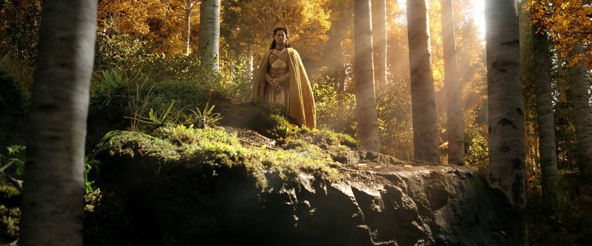 My cat watching the dog get a treat for going potty