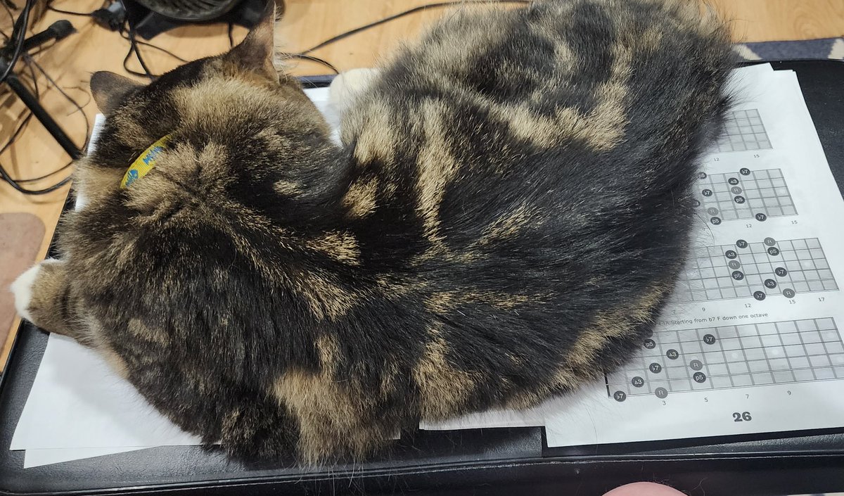 johnmg0's tweet image. Attempting to practice. The struggle is real...