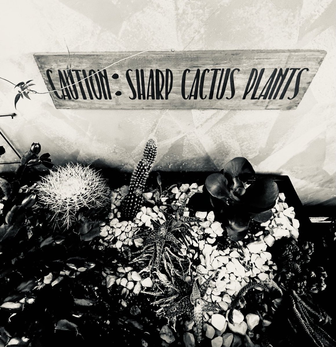 Mark Lewis on Twitter "Do you ever suddenly realize something you’ve