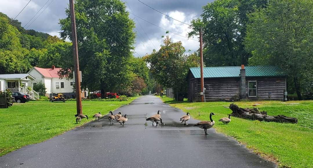 Josh Remillard tweet media