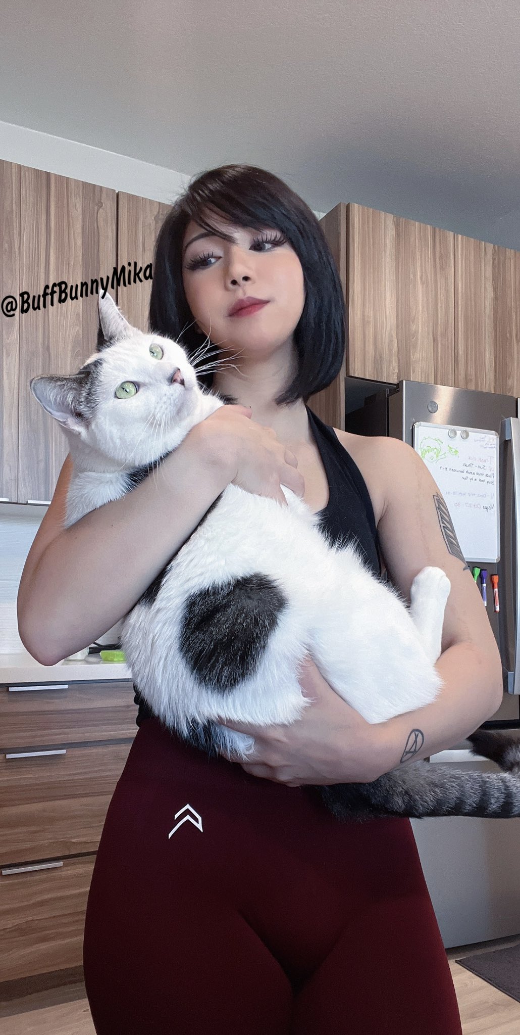 TW Pornstars - 1 pic. Chadkasa. Twitter. This story begins like any other, just a girl and her c
