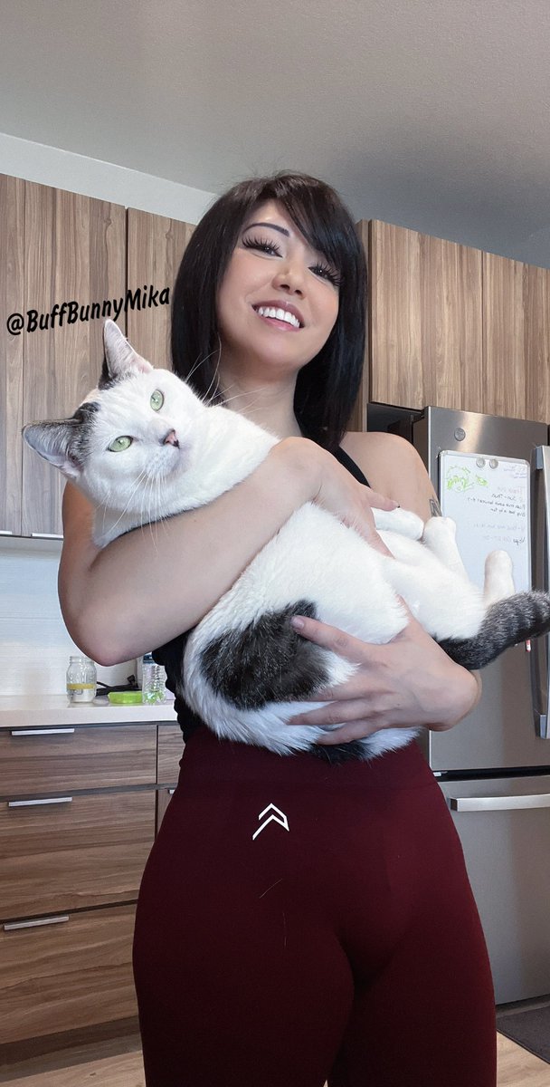 James on Twitter: "RT @BuffBunnyMika: This story begins like any other