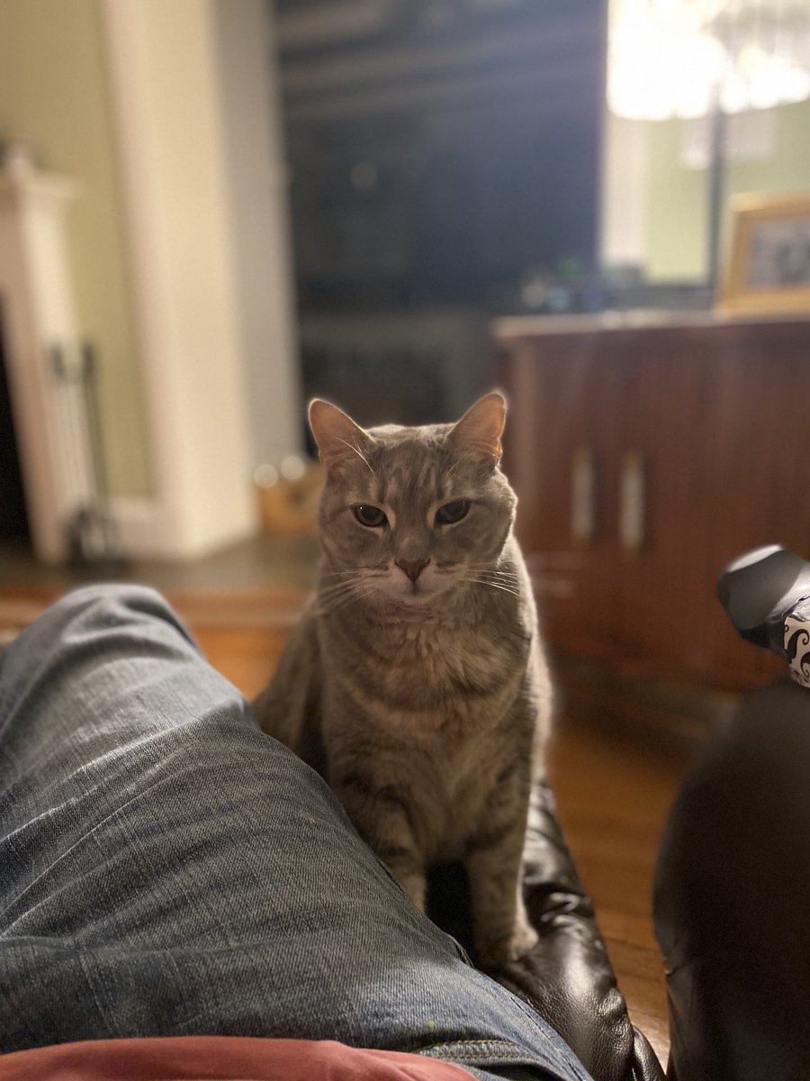 Jonah Goldberg tweet media