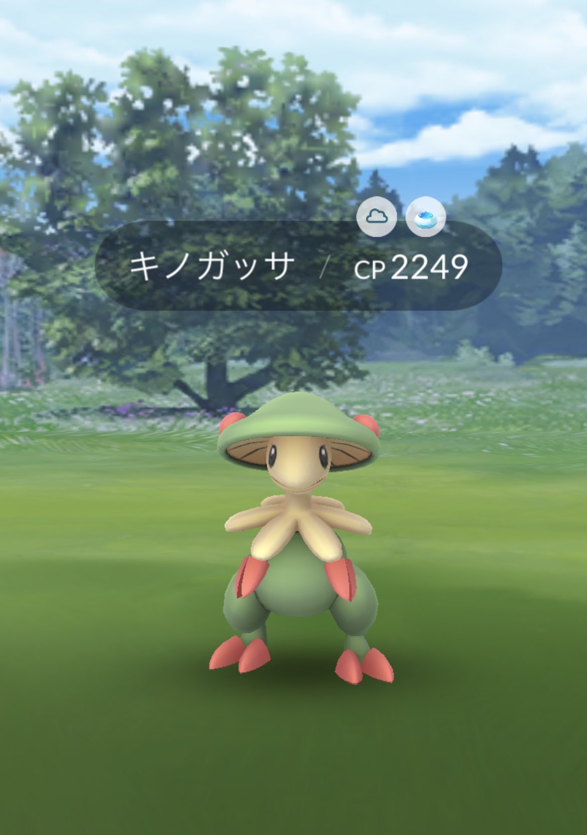ポケモンgo 進化 Cp Twitter Search Twitter