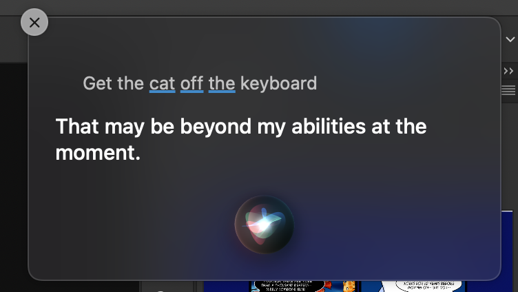 luxshine's tweet photo. Good to know Siri knows her limitations. #funnysirianswers #catsoncomputers https://t.co/Vo7L6ZX4sN