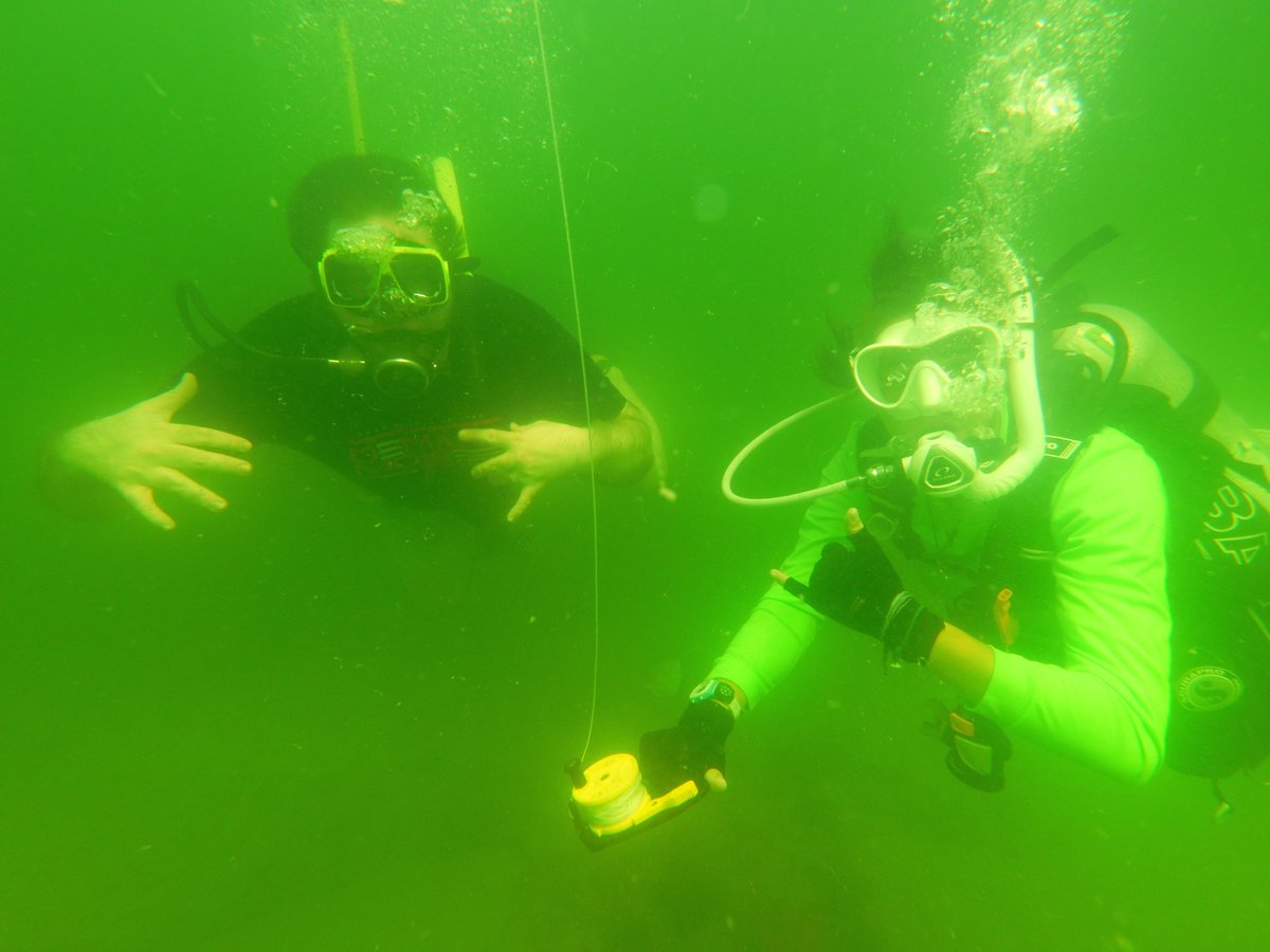 FireflySKills tweet media