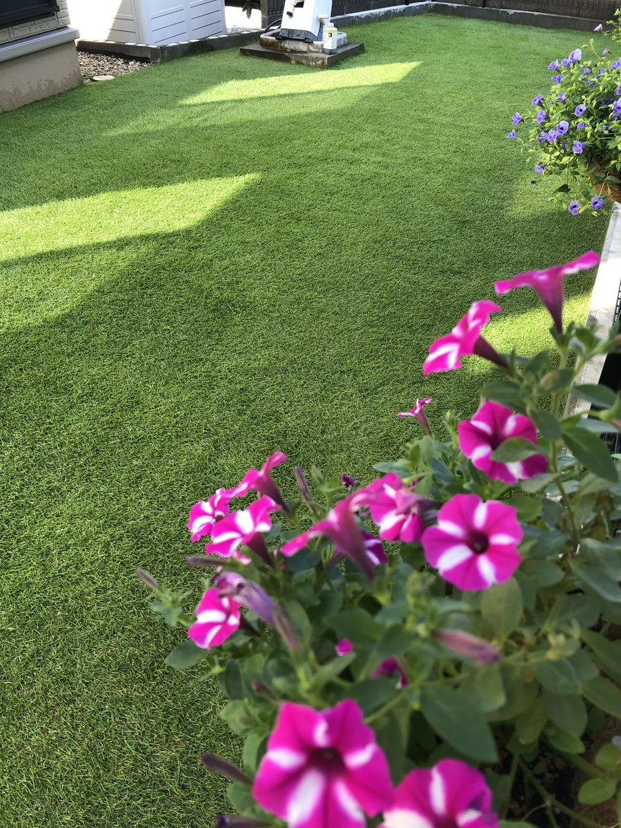 at_kid's tweet photo. 連休最後の貴重な晴れ☀️まだ2cmで刈れた
#芝生 https://t.co/SmEvKGnmFT