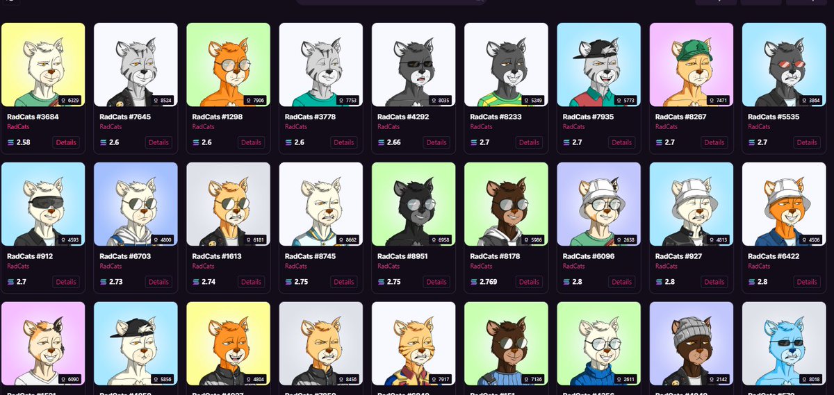 <a href="/RadCatsNFT/">RadCats™️</a>  i will buy another one if this post will have 75 likes or +50 followers #Raidcats