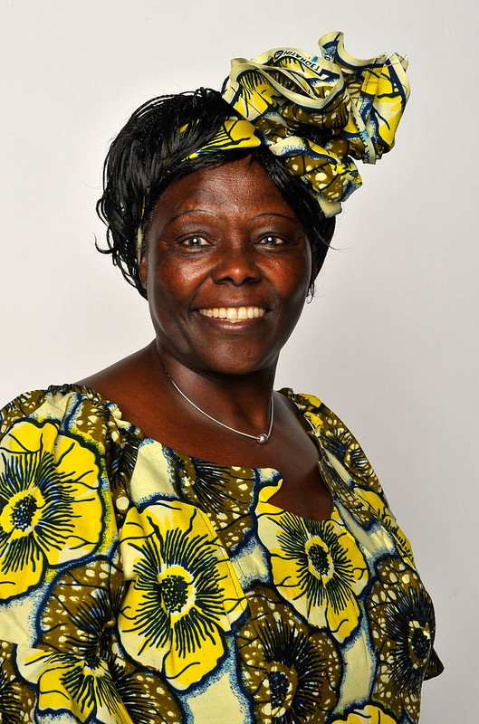 Today we celebrate Prof Wangari Maathai's 11th Memorial. A remarkable hero who fought for human rights, democracy and env conservation thu planting of trees. She was the first African woman to win the Nobel Peace prize. We encourage all to plant a tree in remembrance of a hero.