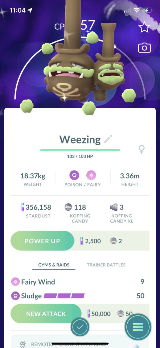lil_boolio_626's tweet photo. Let’s go shiny weezing from a raid 🤩🤩 #PokemonGORaids #PokemonGoApp #PokemonGO https://t.co/K1BSjCi5fx