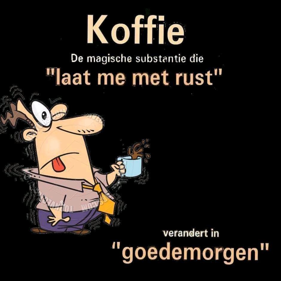 Jan Brouwer (@janjnbrouwer2) on Twitter photo 