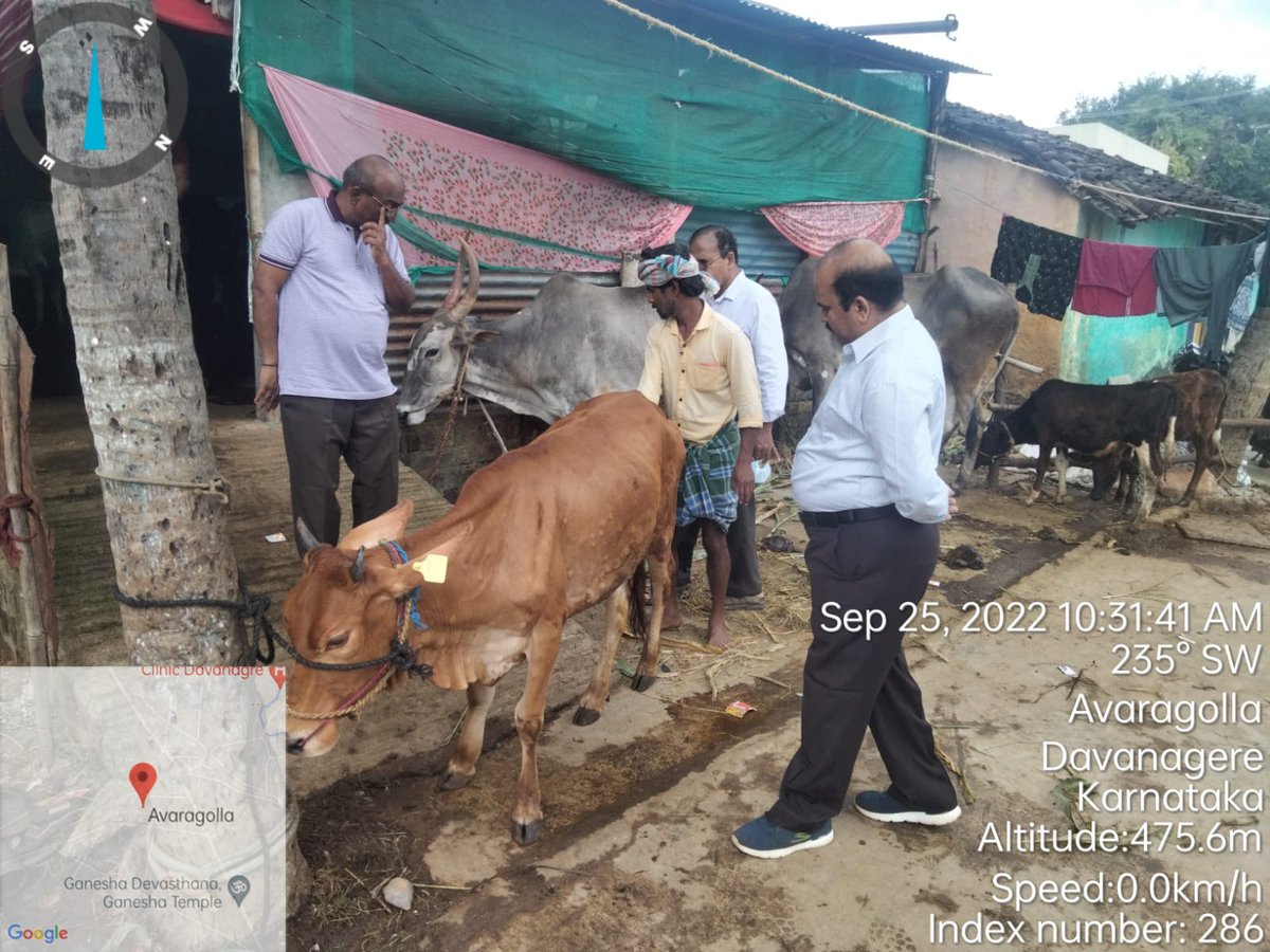 AHVS_Karnataka's tweet photo. ದಿನಾಂಕ : 25/09/2022 ರಂದು ದಾವಣಗೆರೆ ಜಿಲ್ಲೆಯಲ್ಲಿ ಚರ್ಮಗಂಟು ರೋಗದ ಲಕ್ಷಣಗಳು ಕಾಣಿಸಿಕೊಂಡ ಹಿನ್ನೆಲೆಯಲ್ಲಿ ಪಶುಪಾಲನಾ ಮತ್ತು ಪಶುವೈದ್ಯಕೀಯ ಸೇವಾ ಇಲಾಖೆಯ ಮಾನ್ಯ ನಿರ್ದೇಶಕರಾದ ಡಾ. ಮಂಜುನಾಥ್ ಎಸ್ ಪಾಳೇಗಾರ್, ಡಾ. ಚಂದ್ರಶೇಖರ್ ಸುಂಕದ್, ಉಪ ನಿರ್ದೇಶಕರು (ಆಡಳಿತ),(1/2)
#Davangere #LSDawareness https://t.co/BE7AYebtzN